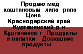 Продаю мед каштановый, липа, рапс › Цена ­ 550 - Краснодарский край, Курганинский р-н, Курганинск г. Продукты и напитки » Домашние продукты   